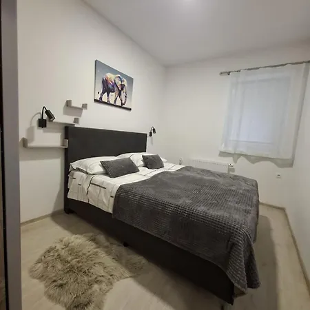 Prenocisca Dany Apartment Dravograd